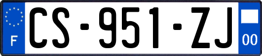 CS-951-ZJ