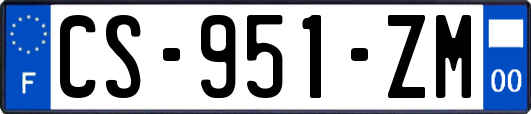 CS-951-ZM