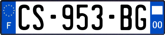 CS-953-BG