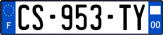 CS-953-TY
