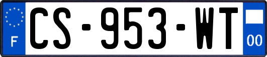 CS-953-WT