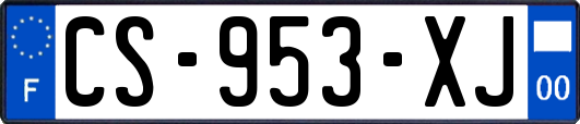 CS-953-XJ