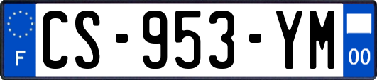 CS-953-YM