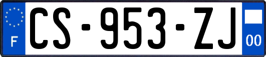 CS-953-ZJ