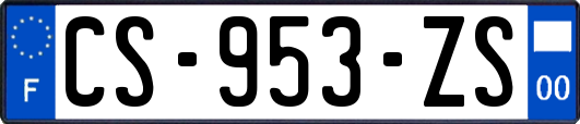 CS-953-ZS