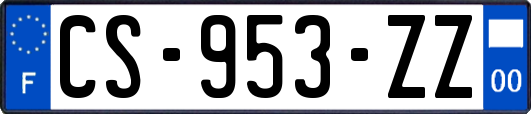 CS-953-ZZ