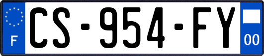 CS-954-FY
