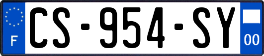 CS-954-SY