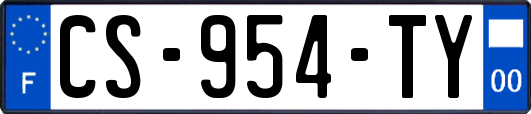 CS-954-TY
