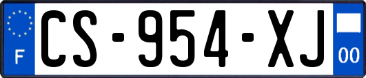 CS-954-XJ