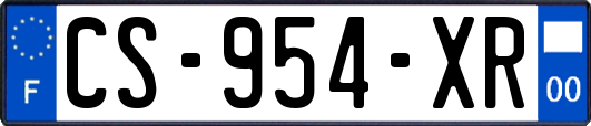 CS-954-XR