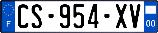 CS-954-XV