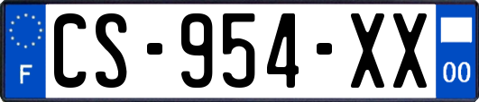 CS-954-XX