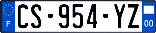 CS-954-YZ