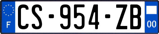 CS-954-ZB