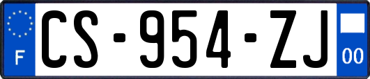 CS-954-ZJ