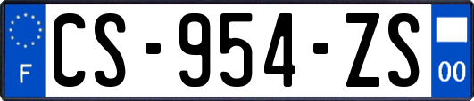 CS-954-ZS