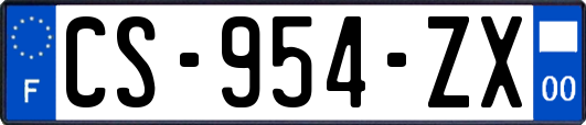 CS-954-ZX