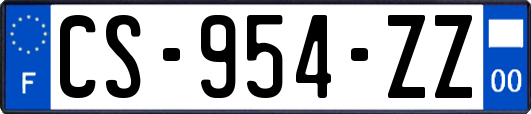 CS-954-ZZ