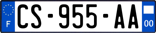 CS-955-AA