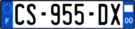 CS-955-DX
