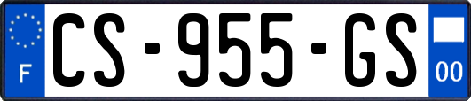 CS-955-GS