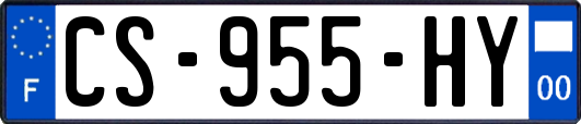 CS-955-HY