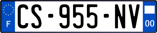 CS-955-NV