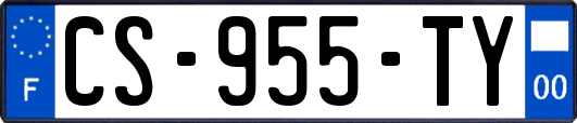 CS-955-TY