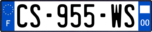 CS-955-WS