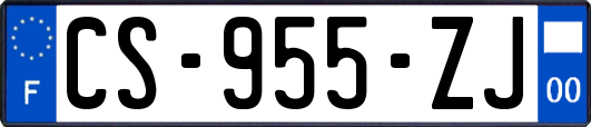 CS-955-ZJ