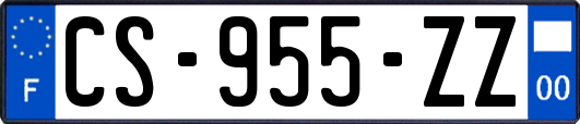 CS-955-ZZ