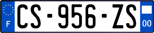 CS-956-ZS