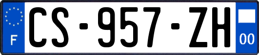 CS-957-ZH