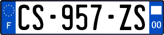 CS-957-ZS