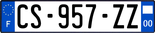 CS-957-ZZ