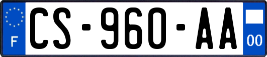 CS-960-AA