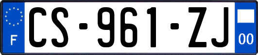 CS-961-ZJ