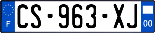 CS-963-XJ