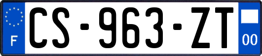 CS-963-ZT