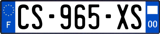 CS-965-XS