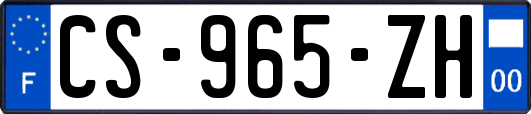 CS-965-ZH