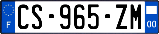 CS-965-ZM