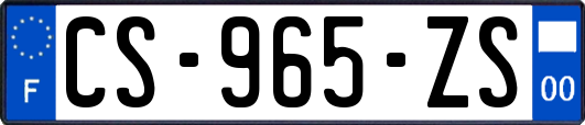 CS-965-ZS