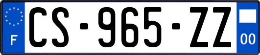 CS-965-ZZ