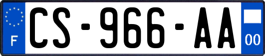 CS-966-AA