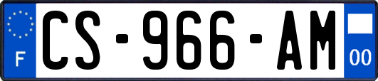 CS-966-AM