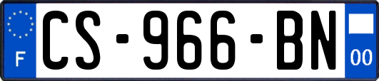 CS-966-BN