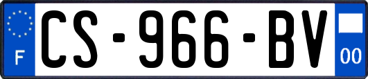 CS-966-BV