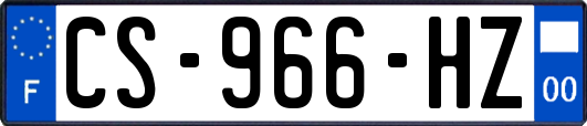 CS-966-HZ